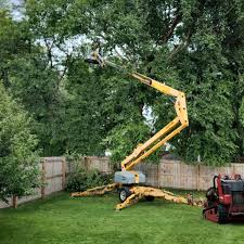 Best Tree Risk Assessment  in Turlock, CA